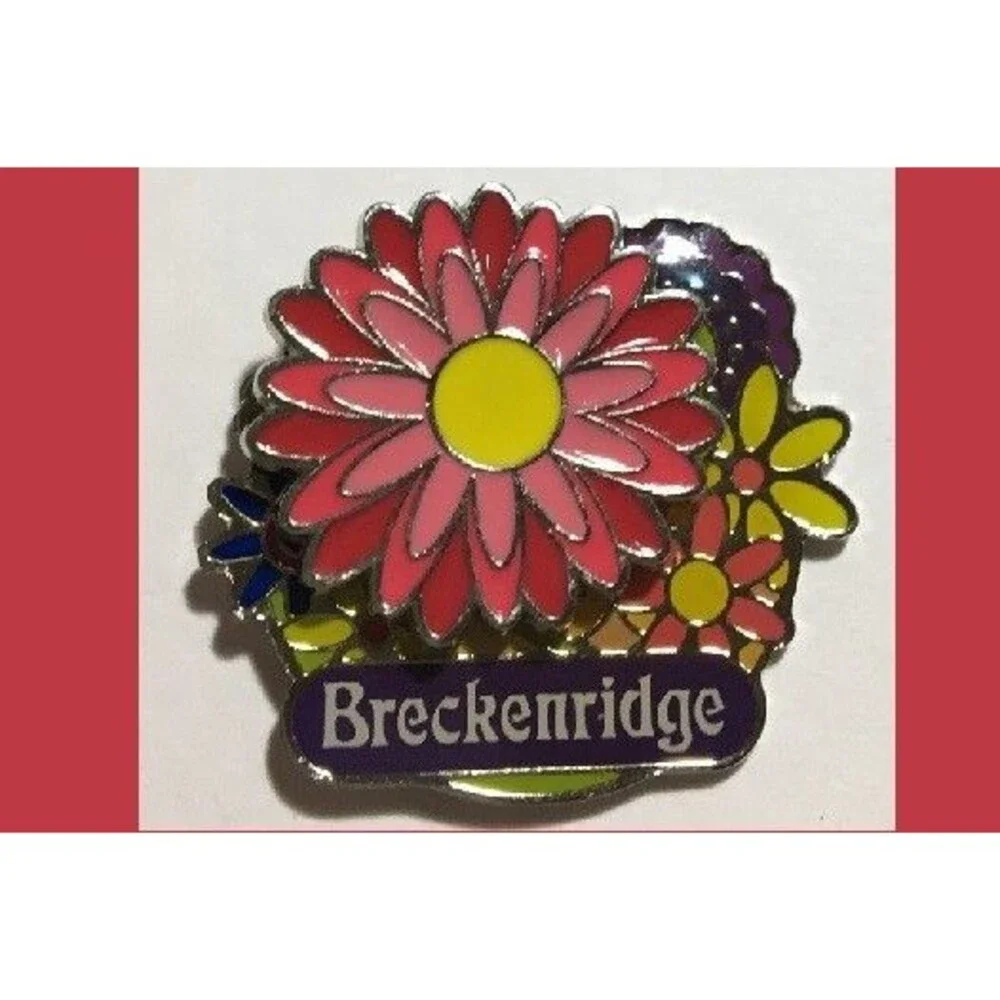 Breckenridge Souvenir Floral pin - Picture 1 of 1